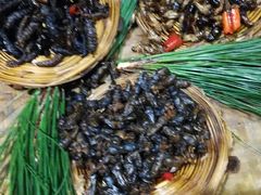 -昆虫窝子·特色云南菜(拓东路总店)