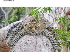 -鸡毛店·川菜(双楠店)