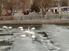 -巴音郭楞蒙古自治州博物馆