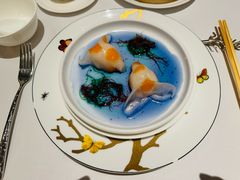 -新同乐鱼翅酒家(美丽华店)