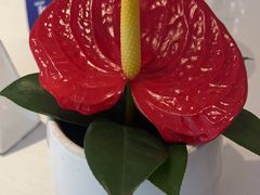 -醉辉皇(桃源π商业广场店)