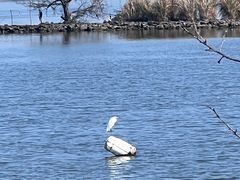 -福建鲤鱼洲酒店