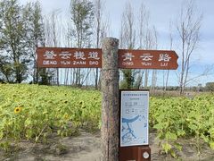 -哈尔滨音乐公园