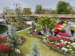 -上海植物园-4号门售票处