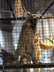 -酷嗒动物文化乐园(cutezoo西溪乐天城店)