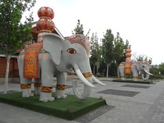 DSC08498-永定河休闲森林公园