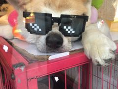 -冰川冷面·延边菜·炭烤串(观前店)