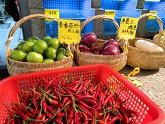 青番茄-陈先进鱼馆·地道农家菜(萧山奥体店)