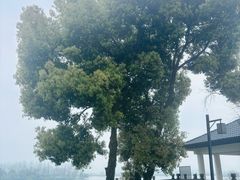 -东梓关景区村庄