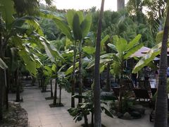 -100蛋泥浆浴