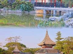 -顺峰山公园