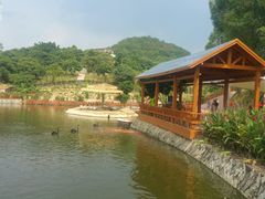 -泉州海丝野生动物世界