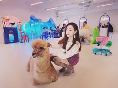 -Blue Concept Cafe&Farm·關於藍