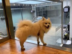 -脉冲品质汽美·贴膜(闵行店)