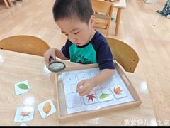 -蒙蒙狮蒙台梭利儿童之家
