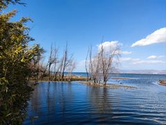 -洱海月湿地公园