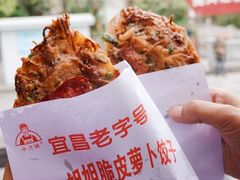-半月镰胡姐脆皮萝卜饺子