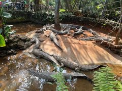 -海南热带野生动植物园