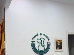 -中农国际动物医院24小时·猫科·骨科·急重症中心