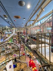 -卡通尼·Safari非洲探索乐园·生日会(金桥国际商业广场店)