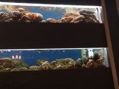-鱼乐轩海鲜专门店