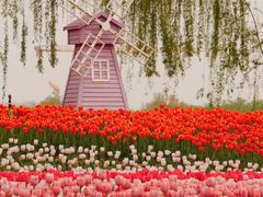 -廊坊文化艺术中心