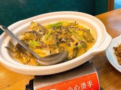 -饭怕鱼(阳光100店)