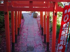 -上野公园花园稻荷神社(忍岡稲荷神社)