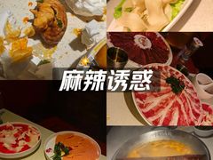 -小龙坎火锅(春熙太古里店)