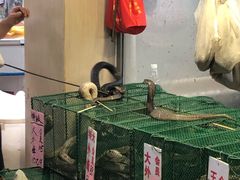 -荔城生鲜盛宴(番禺旗舰店)
