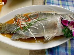 桂鱼-中发源·清真餐厅(春风店)