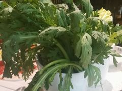 -大龙燚火锅