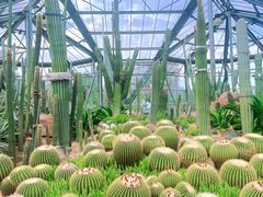-中国科学院华南植物园