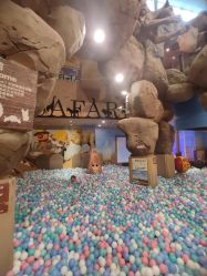 -卡通尼·Safari非洲探索乐园·生日会(金桥国际商业广场店)