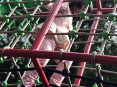 -晓港公园