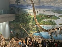 -自贡恐龙博物馆