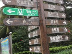 -万绿园