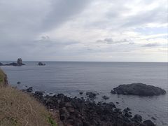 -涉地可支