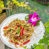 今天就解锁一家隐藏在东门的宝藏泰式料理专门店