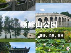 -顺峰山公园