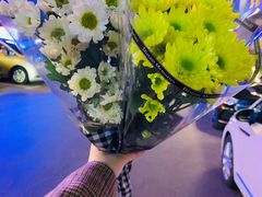 -曲阳花鸟市场(曲阳路店)