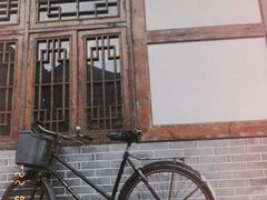 -桤木河湿地公园