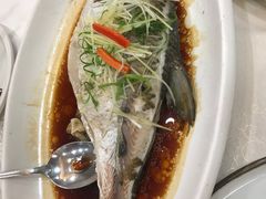 -寻味顺德·南记酒家·传统顺德菜·鱼生(广源路店)