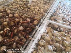 -87号烧烤海鲜·大排档(金沙滩店)