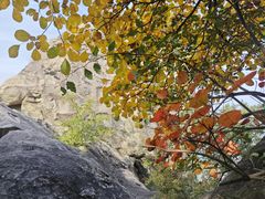 -秦岭终南山世界地质公园翠华山景区