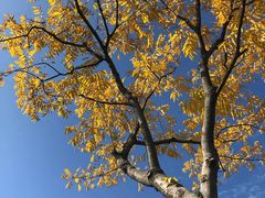 -杭州城北体育公园