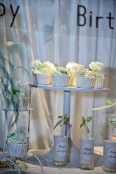 -觅糖派对·宝宝宴生日宴一站式派对策划(河西店)