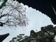 -何园