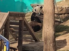 -栾川竹海野生动物园