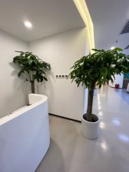 -丰联丽格医疗美容·联合丽格眼整形中心